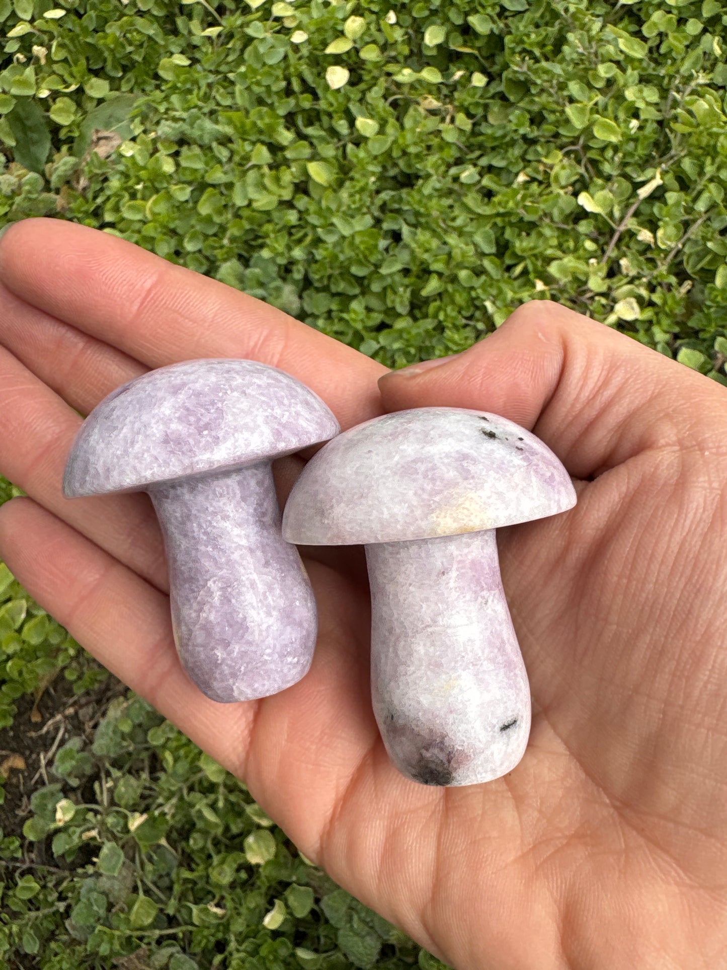 *Lepidolite Mushroom