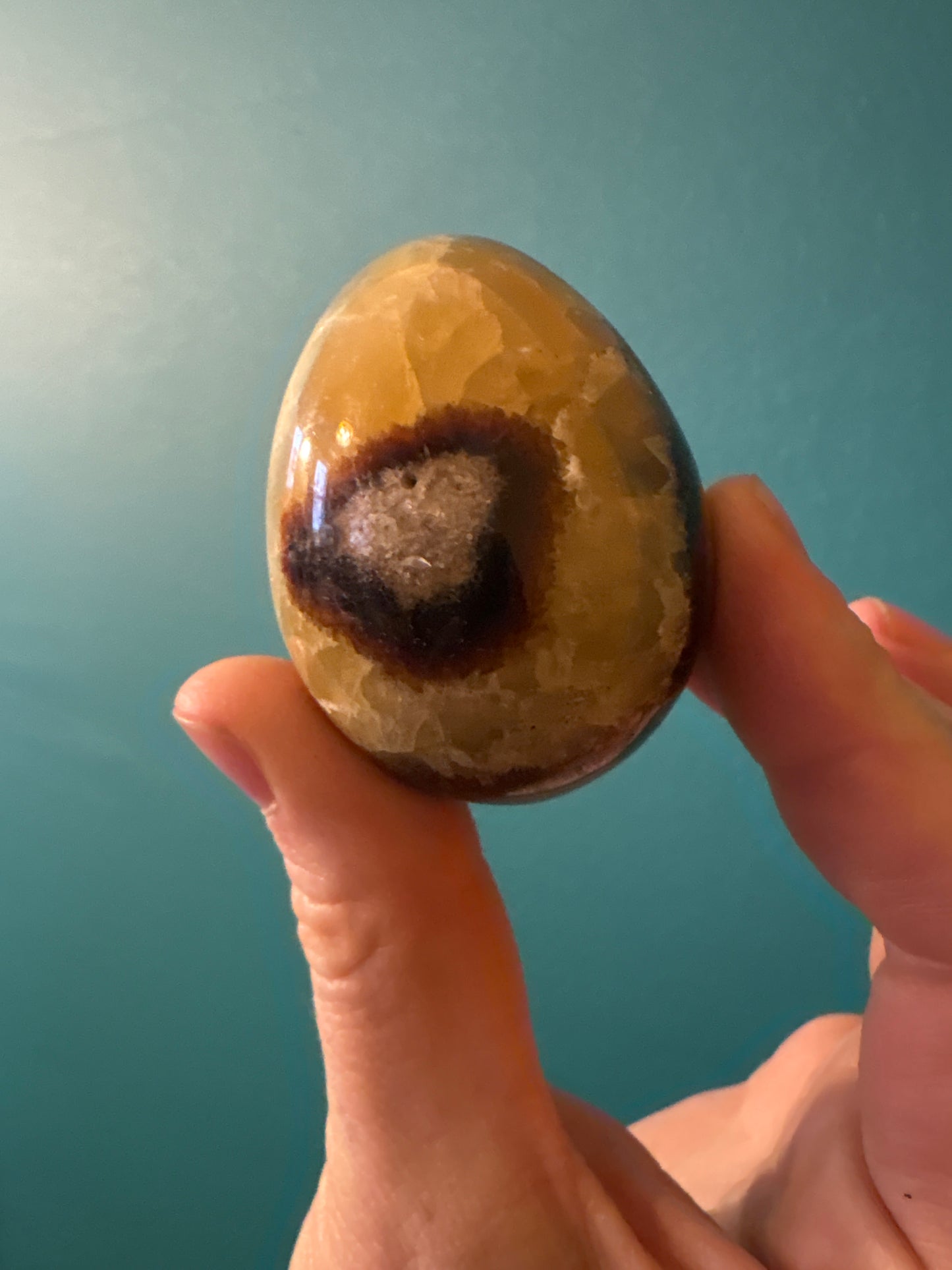 *Septarian egg