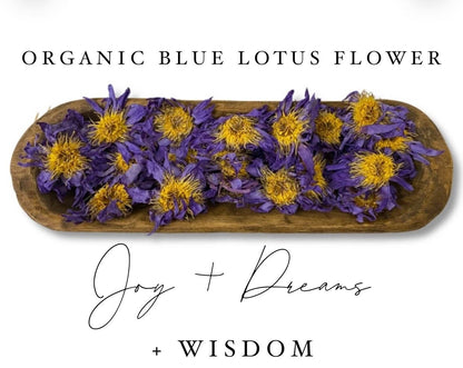 Blue Lotus - Whole Flowers - 100% Organic