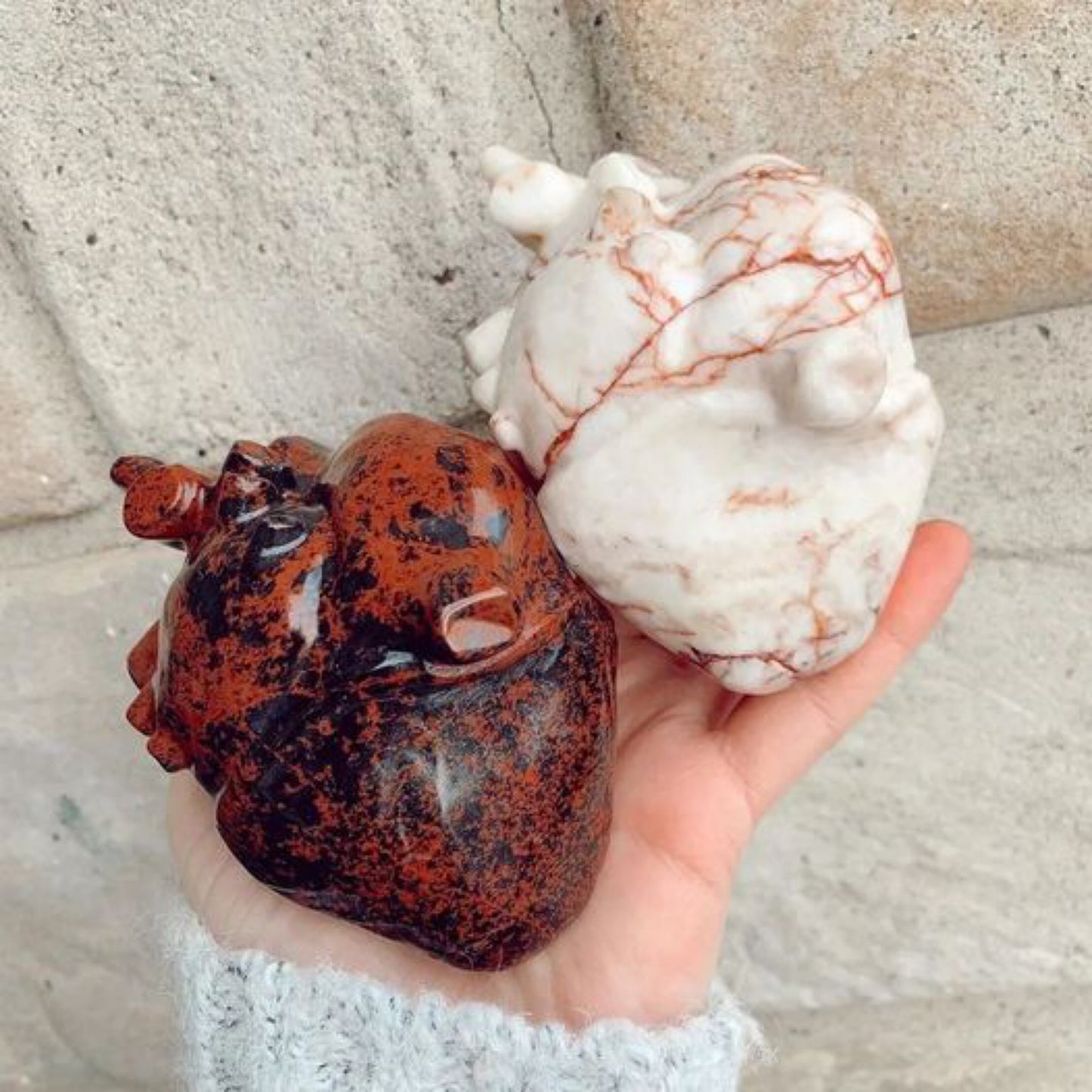 Heart Anatomical