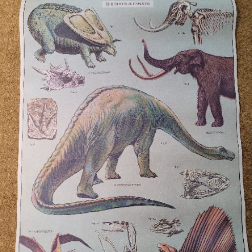 Poster Dinosaur