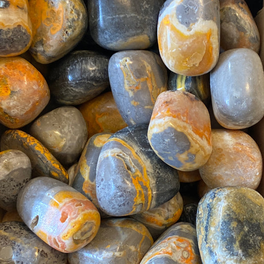 Bumblebee Jasper Tumble