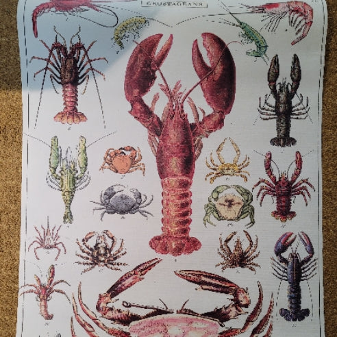 Poster Crustaceans Lobster