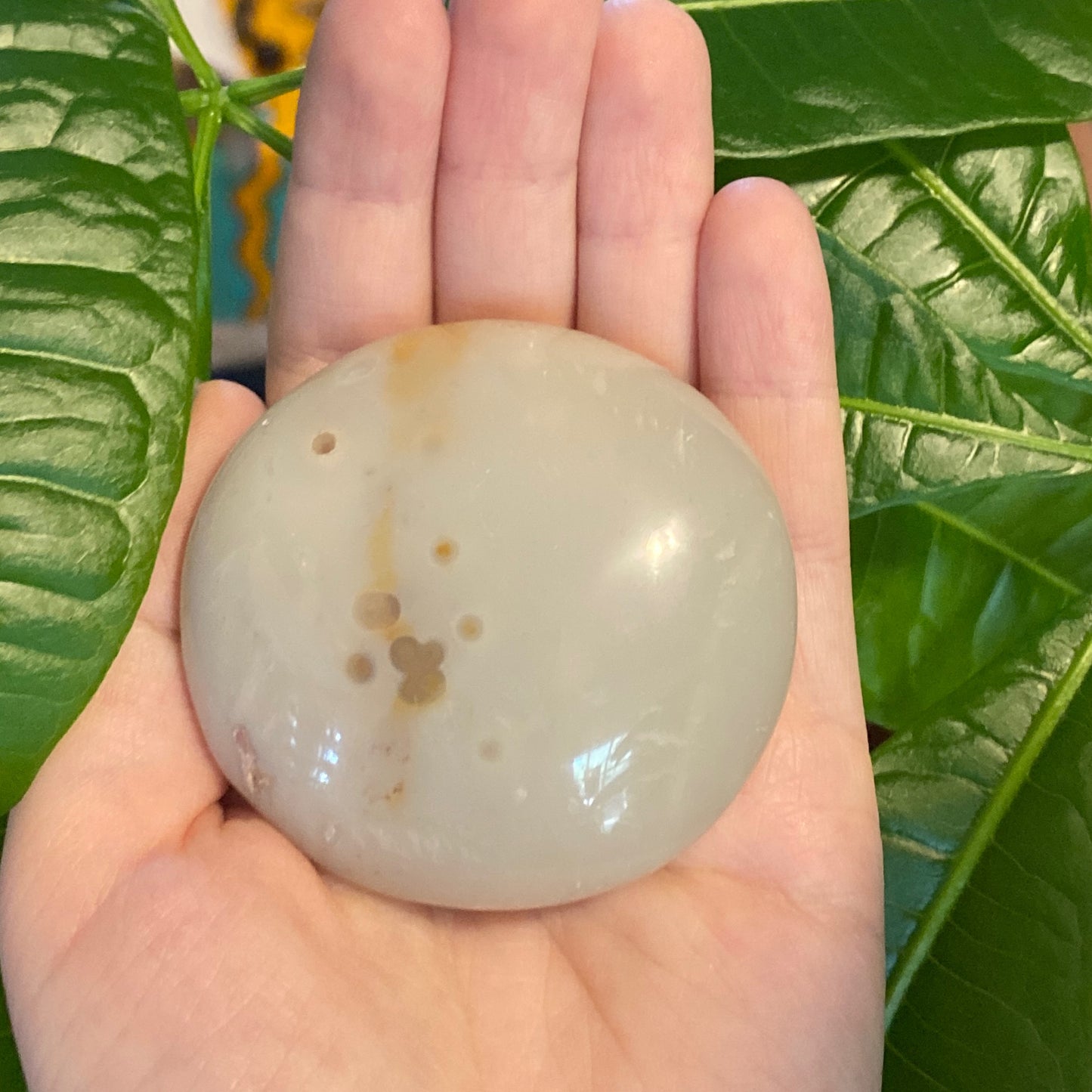 Ocean Jasper Palm Stone