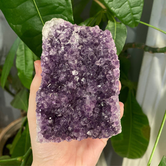 Geode Amethyst