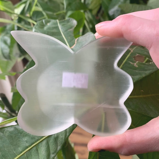 Bowl Selenite Butterfly