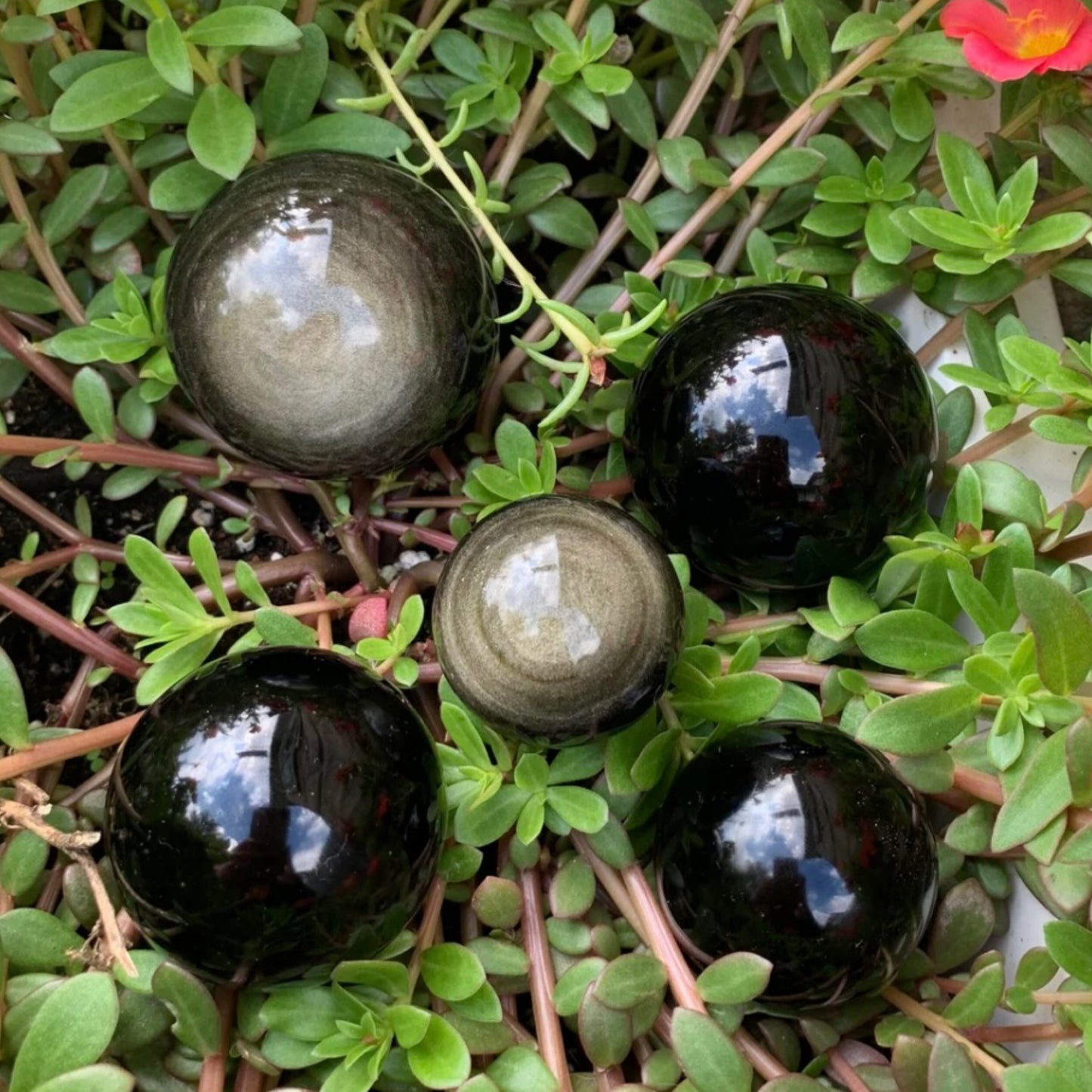 Sphere Goldsheen Obsidian